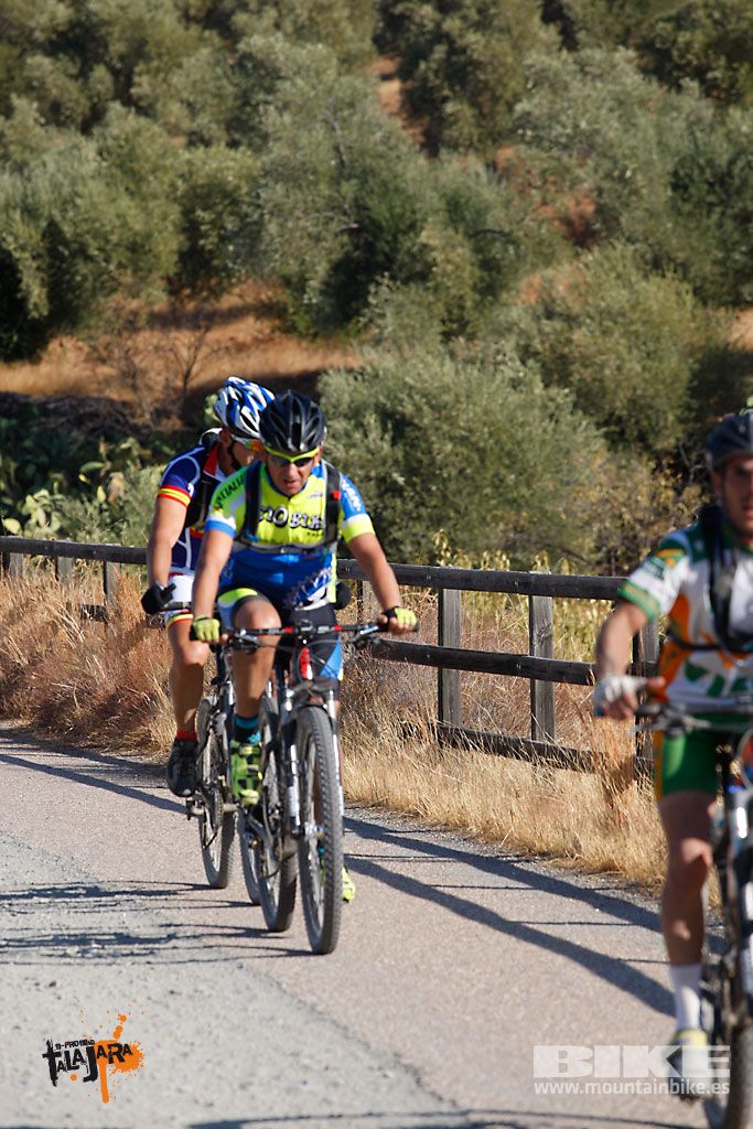 Talajara 2016. Vía Verde de la Jara. Recorrido corto. Galería 1