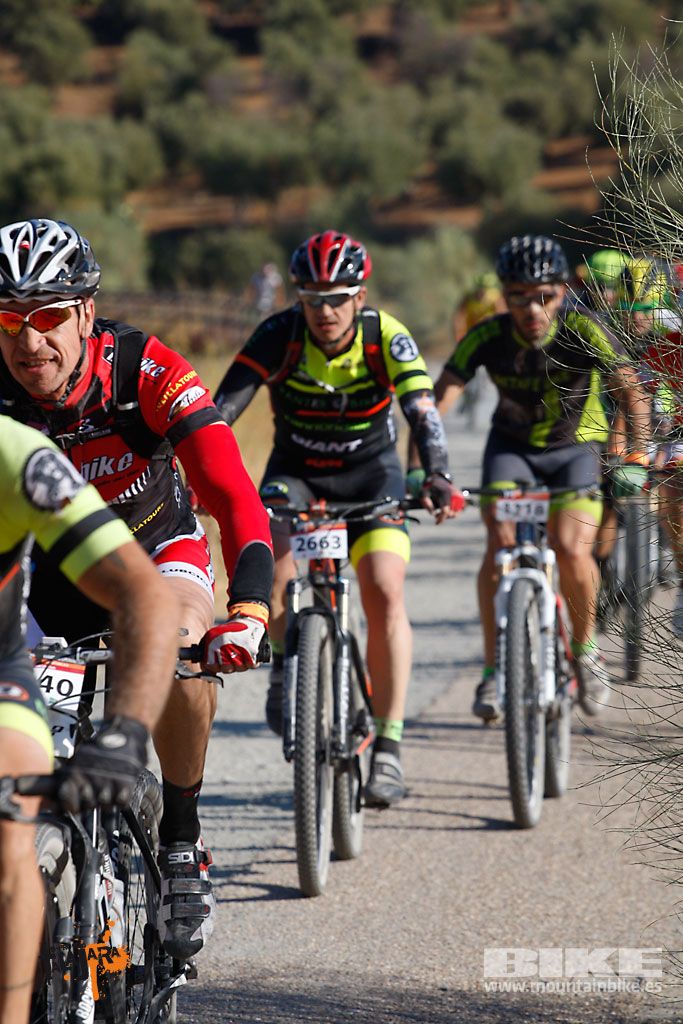 Talajara 2016. Vía Verde de la Jara. Recorrido corto. Galería 1