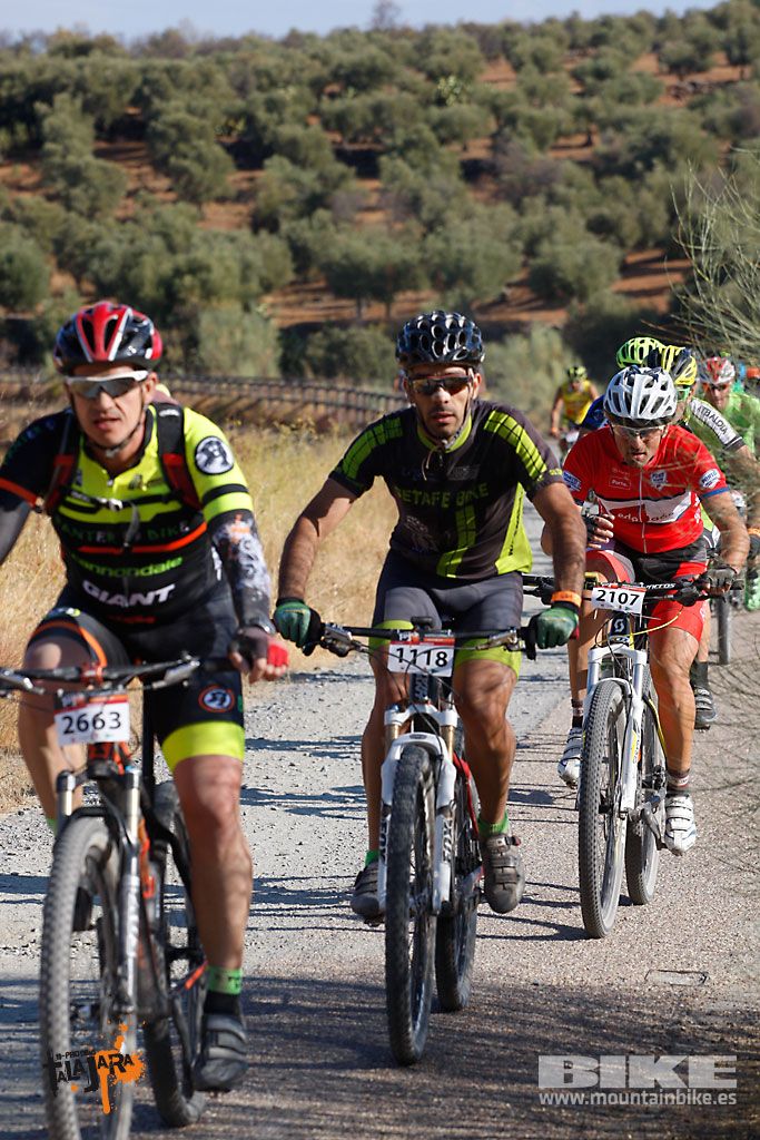 Talajara 2016. Vía Verde de la Jara. Recorrido corto. Galería 1