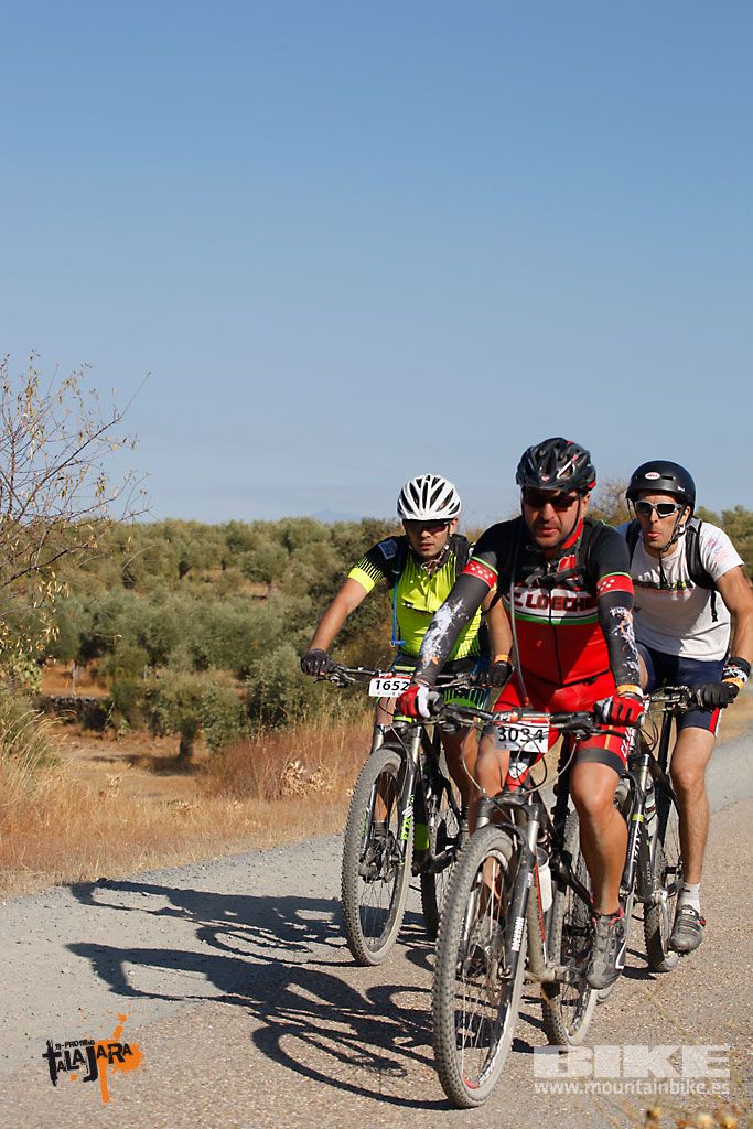 Talajara 2016. Vía Verde de la Jara. Recorrido corto. Galería 2