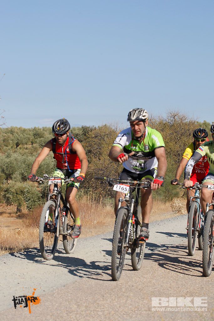 Talajara 2016. Vía Verde de la Jara. Recorrido corto. Galería 4