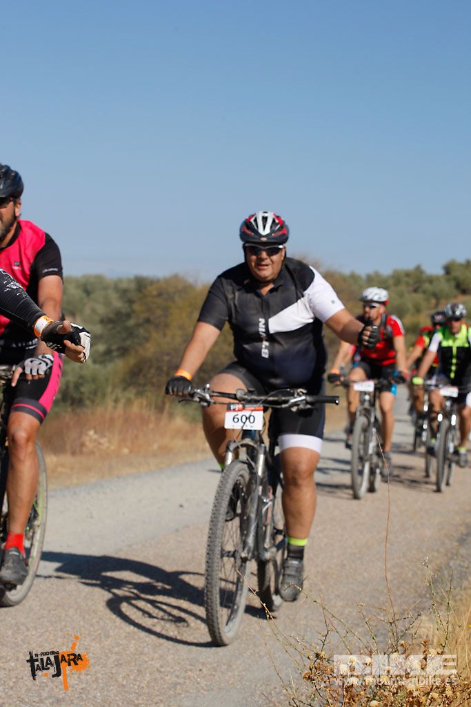 Talajara 2016. Vía Verde de la Jara. Recorrido corto. Galería 4