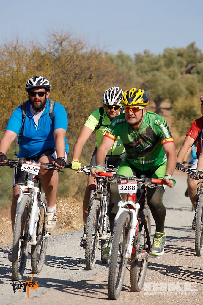 Talajara 2016. Vía Verde de la Jara. Recorrido corto. Galería 5