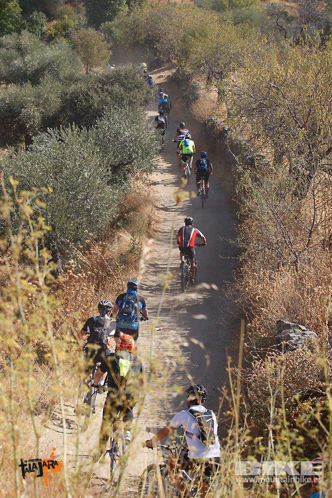 Talajara 2016. Vía Verde de la Jara. Recorrido corto. Galería 6