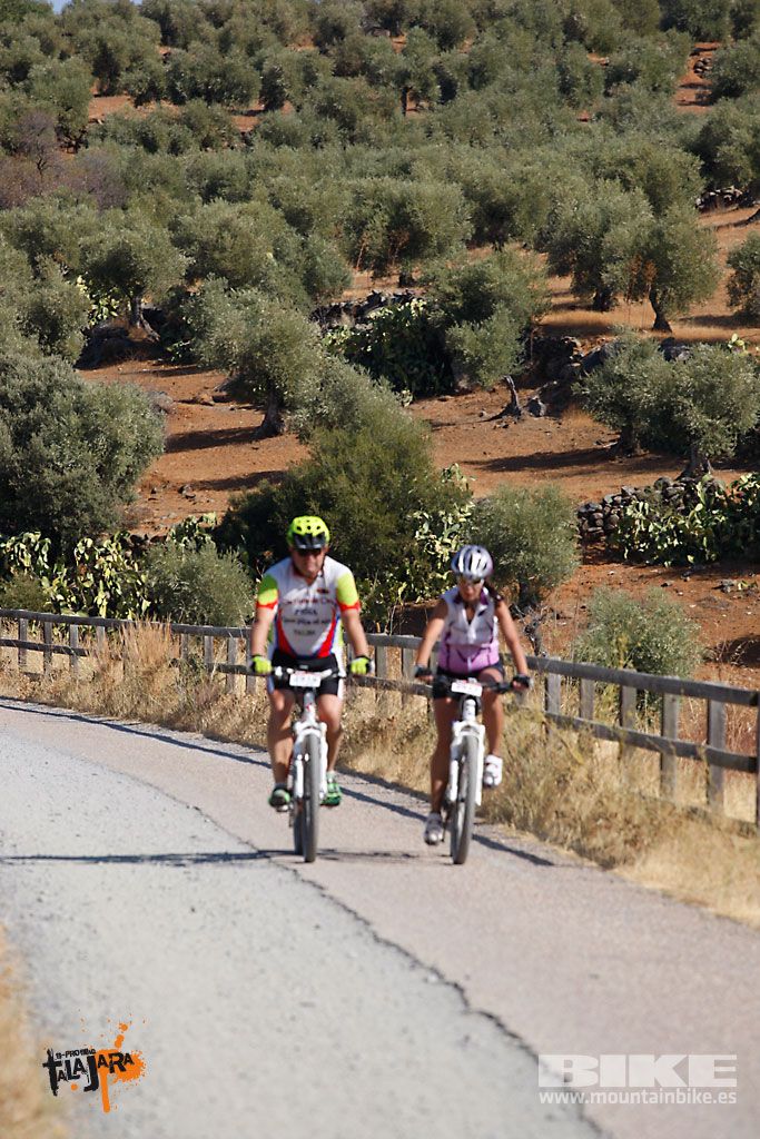 Talajara 2016. Vía Verde de la Jara. Recorrido corto. Galería 6