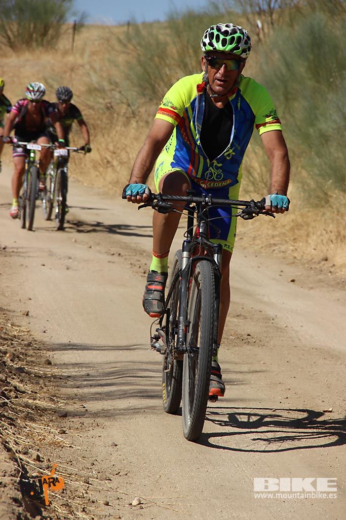 Talajara 2016. Alcaudete de la Jara. Galería 2