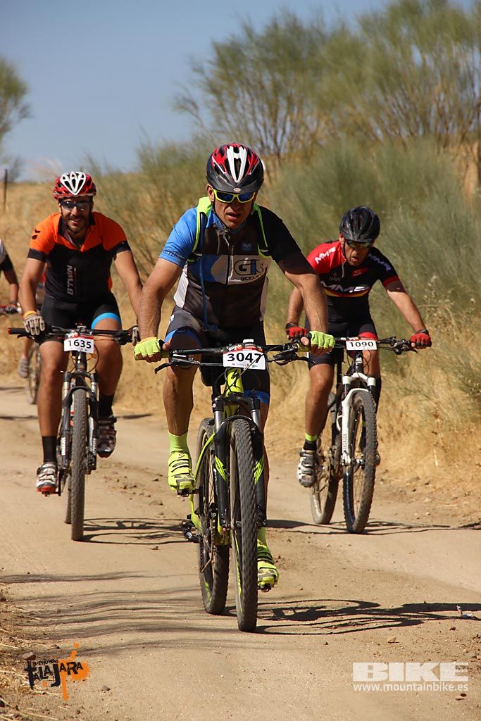 Talajara 2016. Alcaudete de la Jara. Galería 2