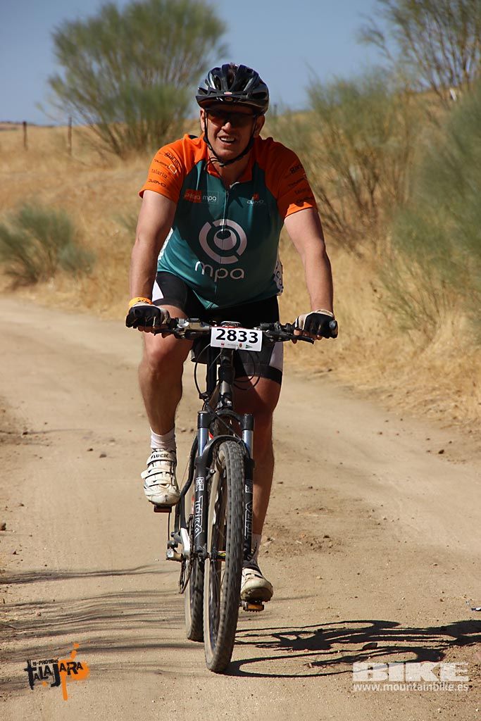 Talajara 2016. Alcaudete de la Jara. Galería 2