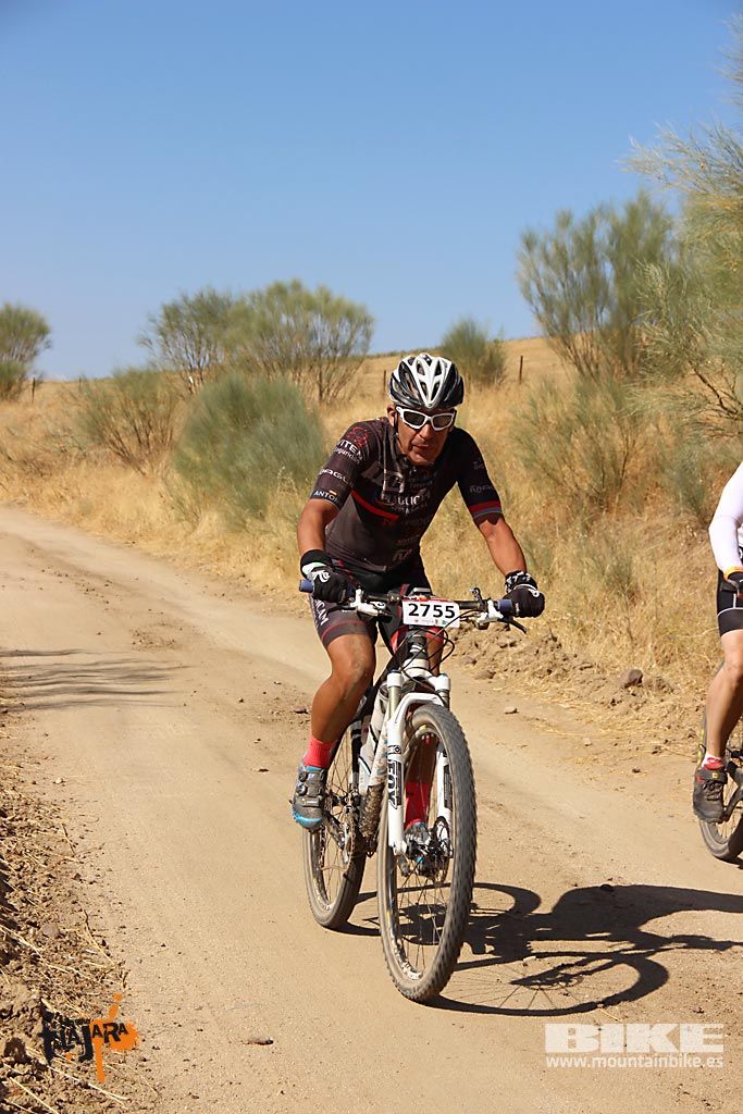 Talajara 2016. Alcaudete de la Jara. Galería 2