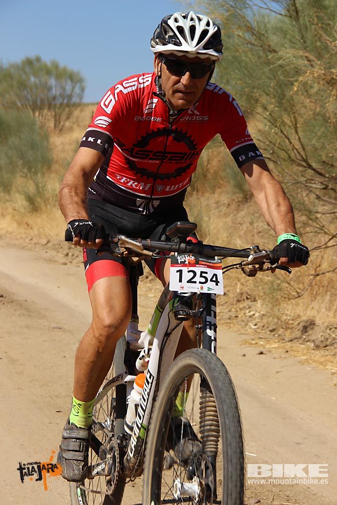 Talajara 2016. Alcaudete de la Jara. Galería 3