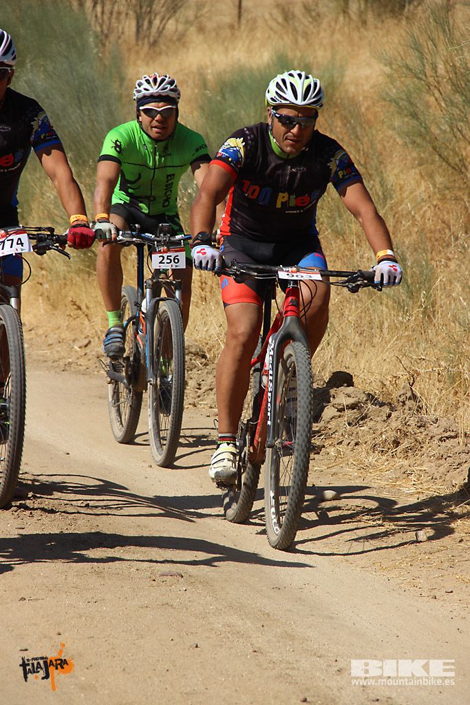 Talajara 2016. Alcaudete de la Jara. Galería 3