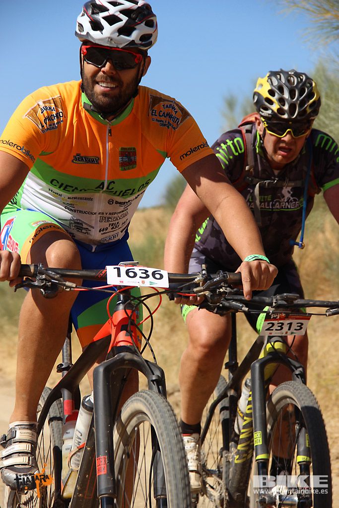 Talajara 2016. Alcaudete de la Jara. Galería 4