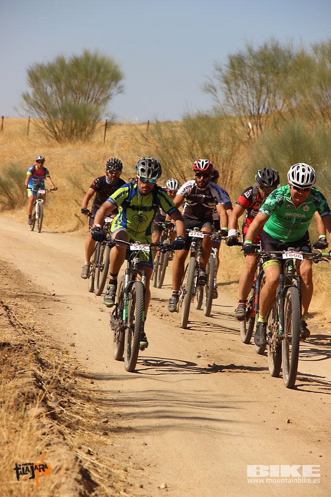 Talajara 2016. Alcaudete de la Jara. Galería 4