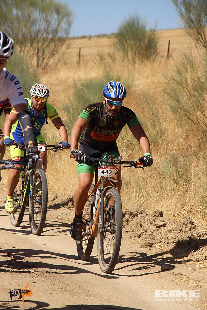 Talajara 2016. Alcaudete de la Jara. Galería 4