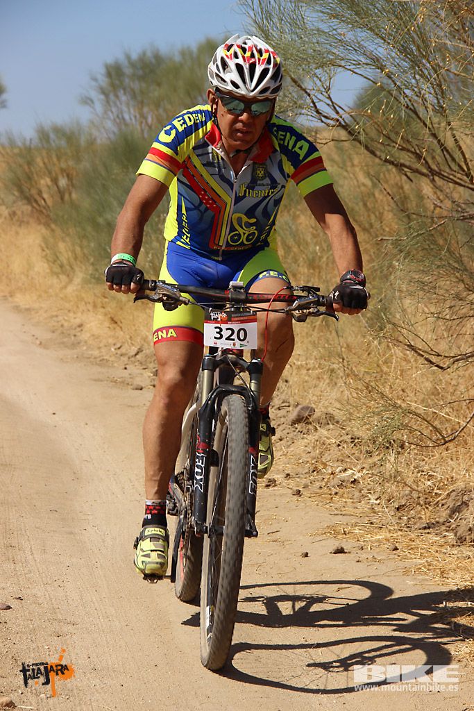 Talajara 2016. Alcaudete de la Jara. Galería 4