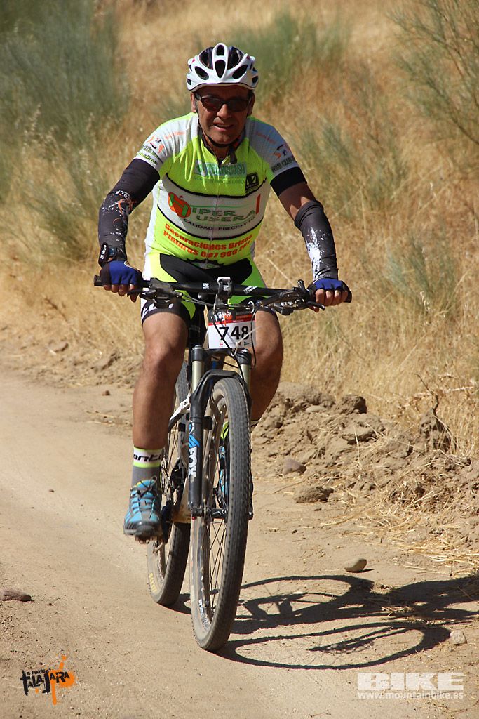 Talajara 2016. Alcaudete de la Jara. Galería 5