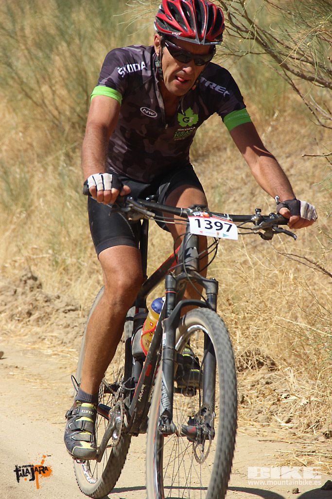 Talajara 2016. Alcaudete de la Jara. Galería 5