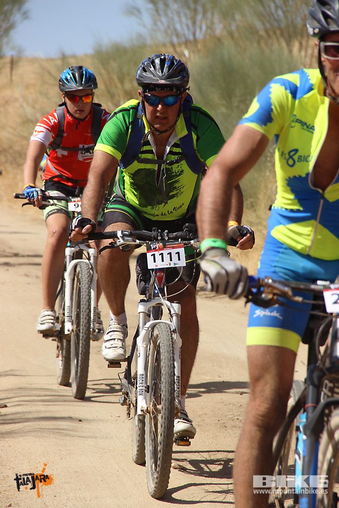 Talajara 2016. Alcaudete de la Jara. Galería 7