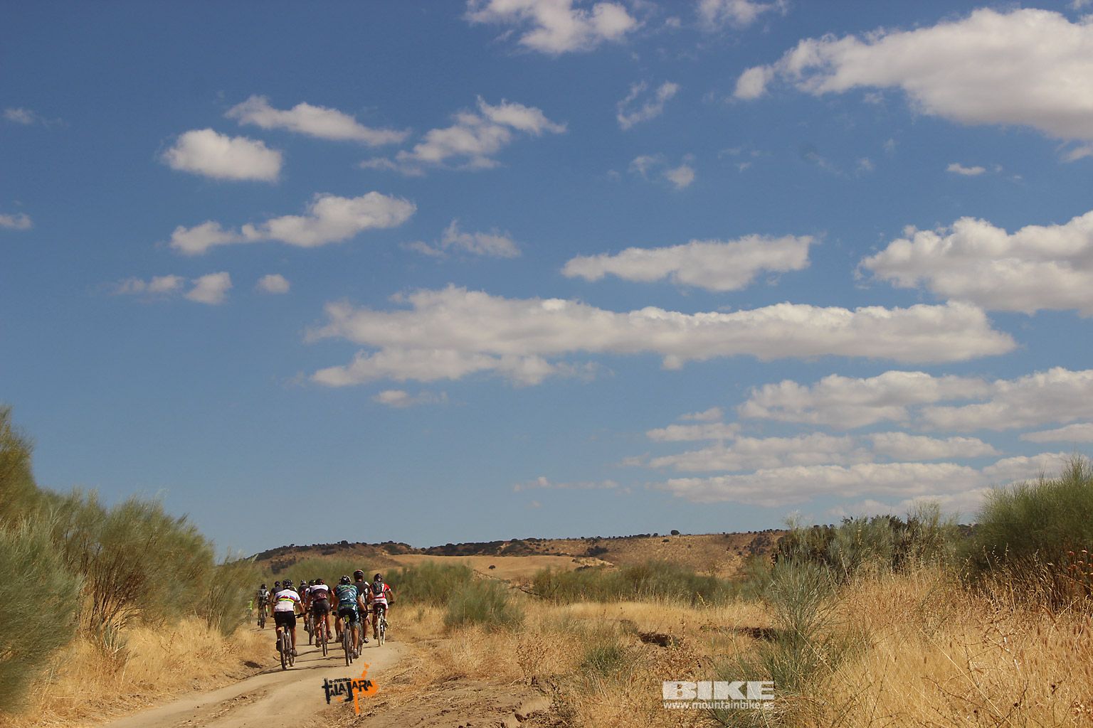 Talajara 2016. Alcaudete de la Jara. Galería 9