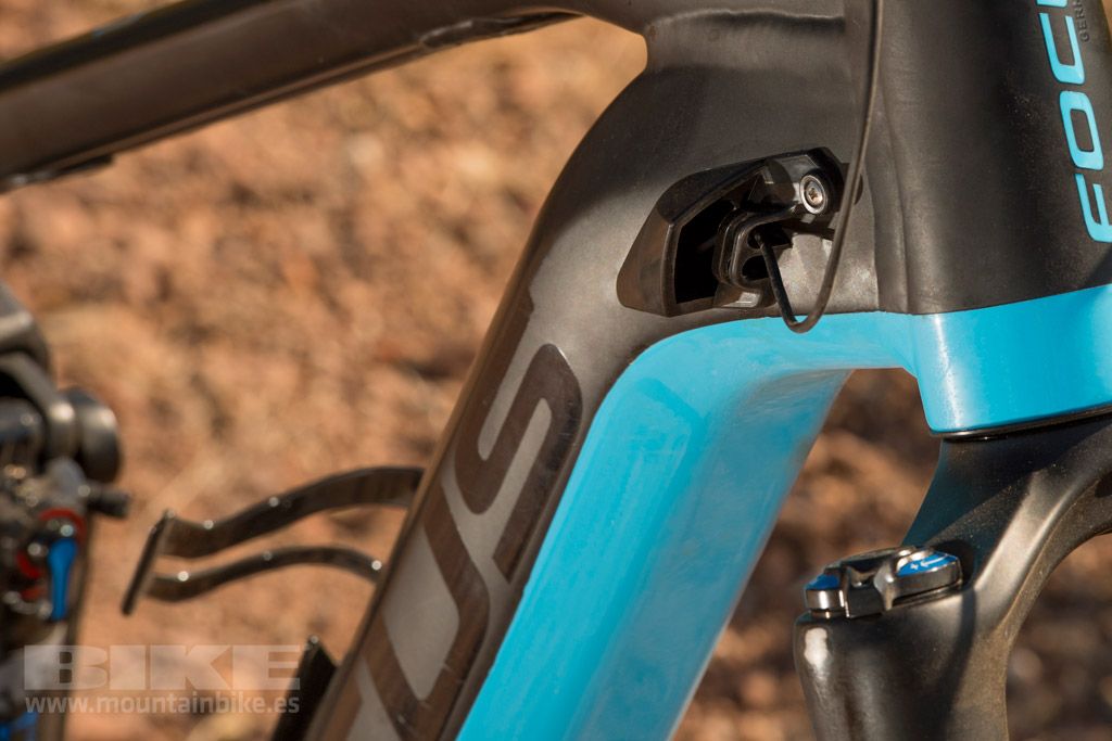Focus Jam y Bolt Squared 2017