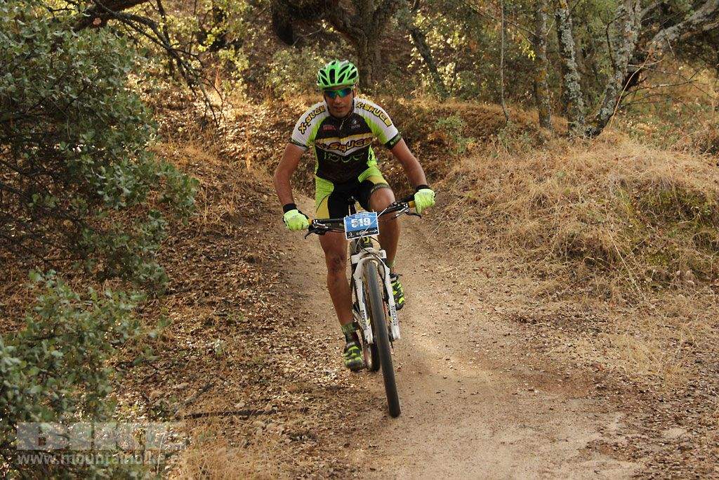 Scott 7 Estrellas Madrid 2016