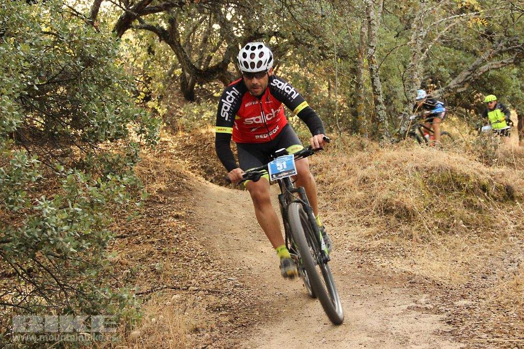 Scott 7 Estrellas Madrid 2016 Galeria 2