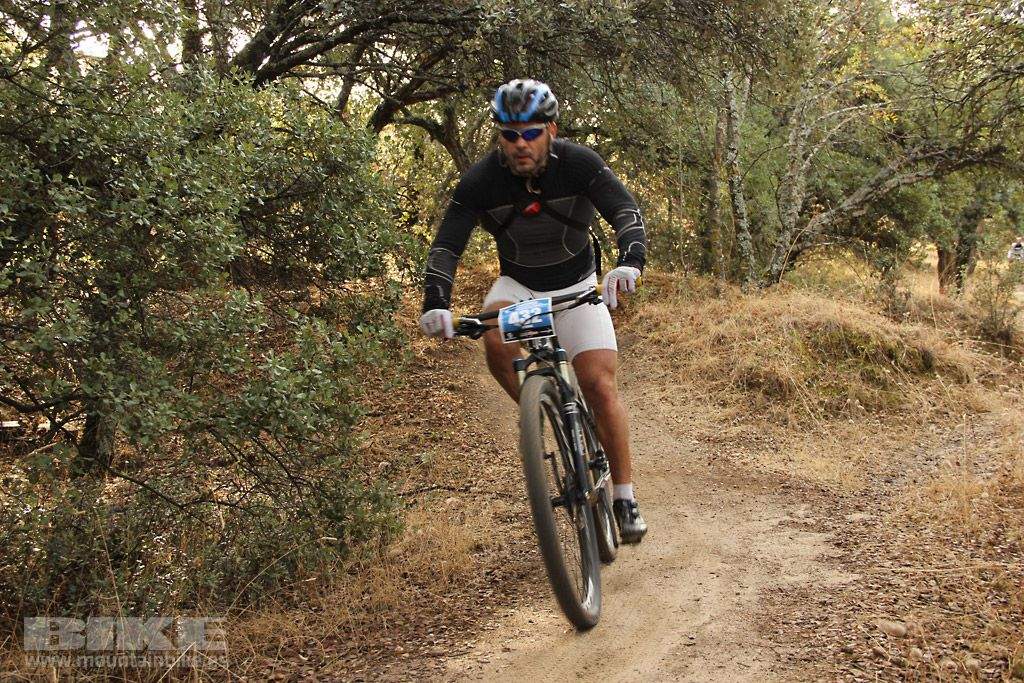 Scott 7 Estrellas Madrid 2016 Galeria 2