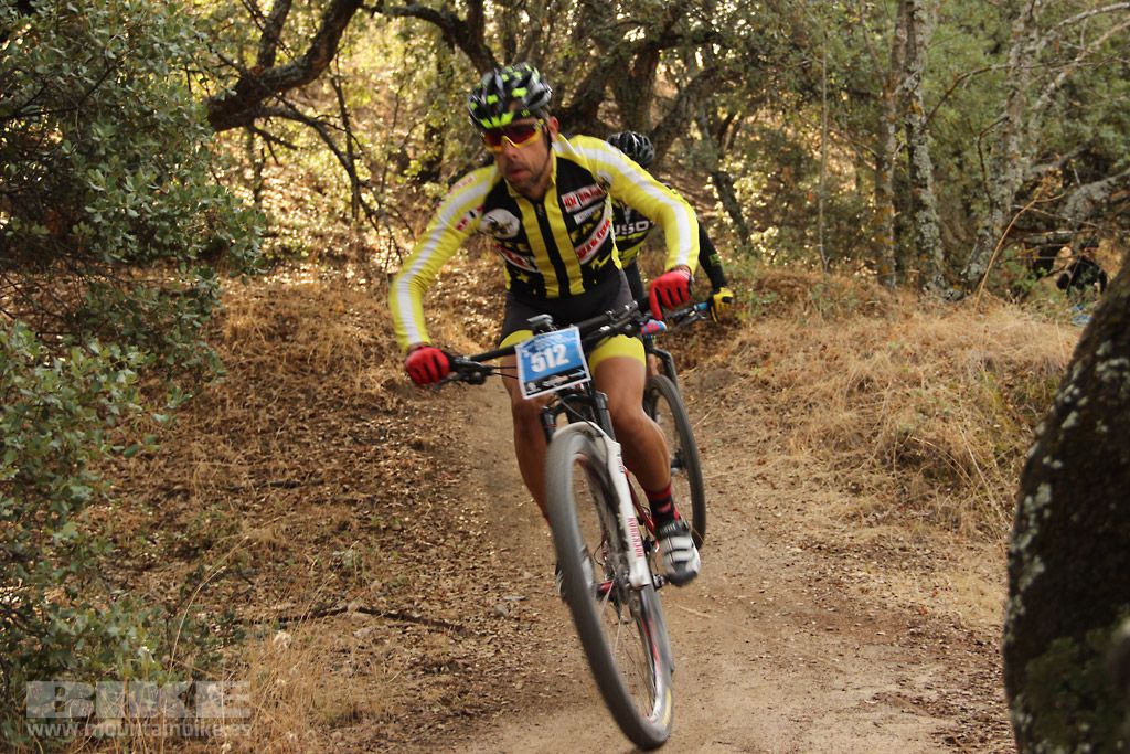 Scott 7 Estrellas Madrid 2016 Galeria 2