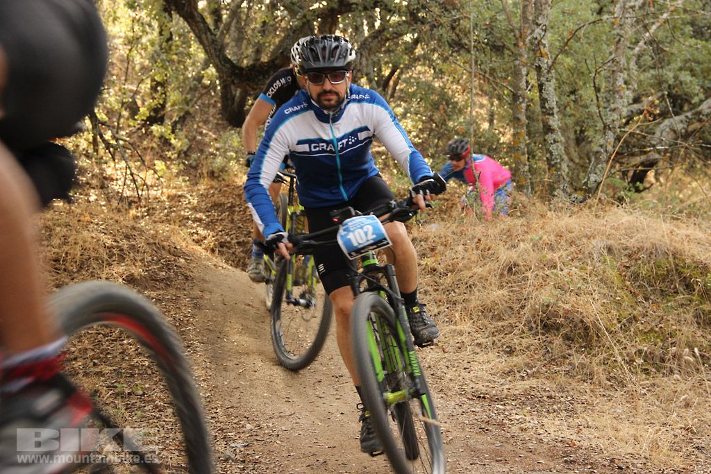 Scott 7 Estrellas Madrid 2016 Galeria 2
