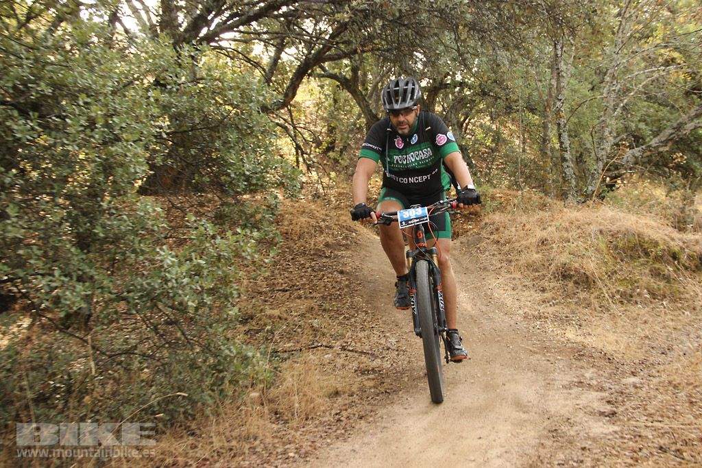 Scott 7 Estrellas Madrid 2016 Galeria 4