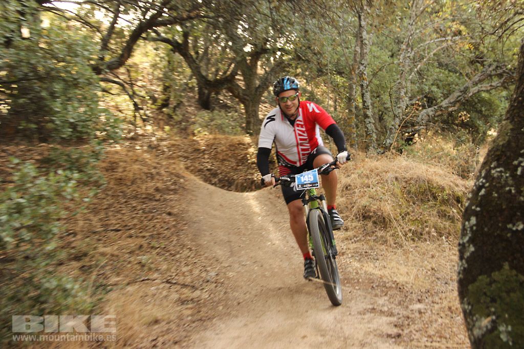 Scott 7 Estrellas Madrid 2016 Galeria 4