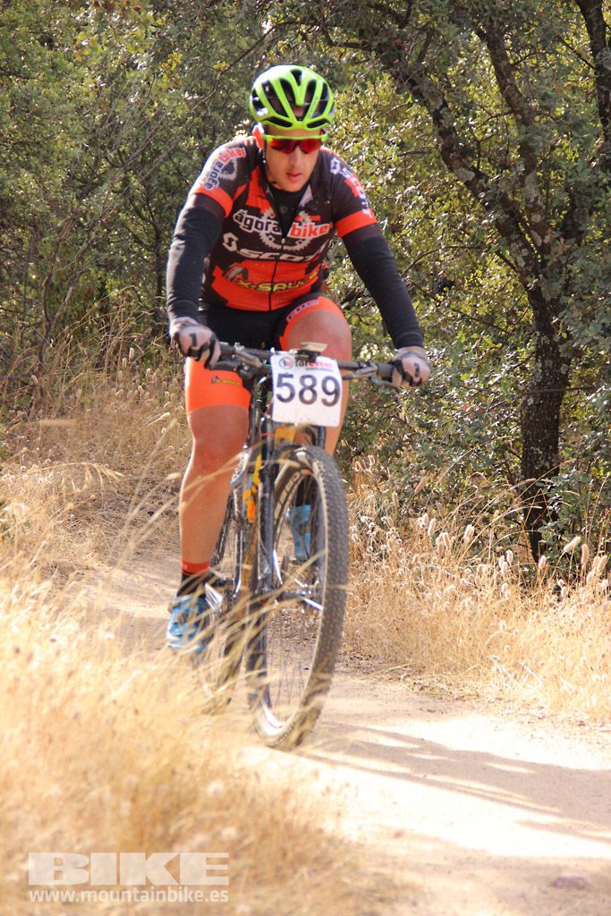 Scott 7 Estrellas Madrid 2016 Galeria 5