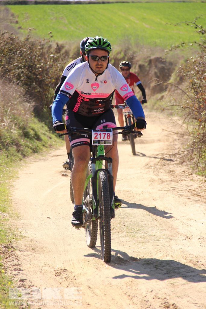 Navalcarnero al Límite 2017 Km 27. Galeria 5