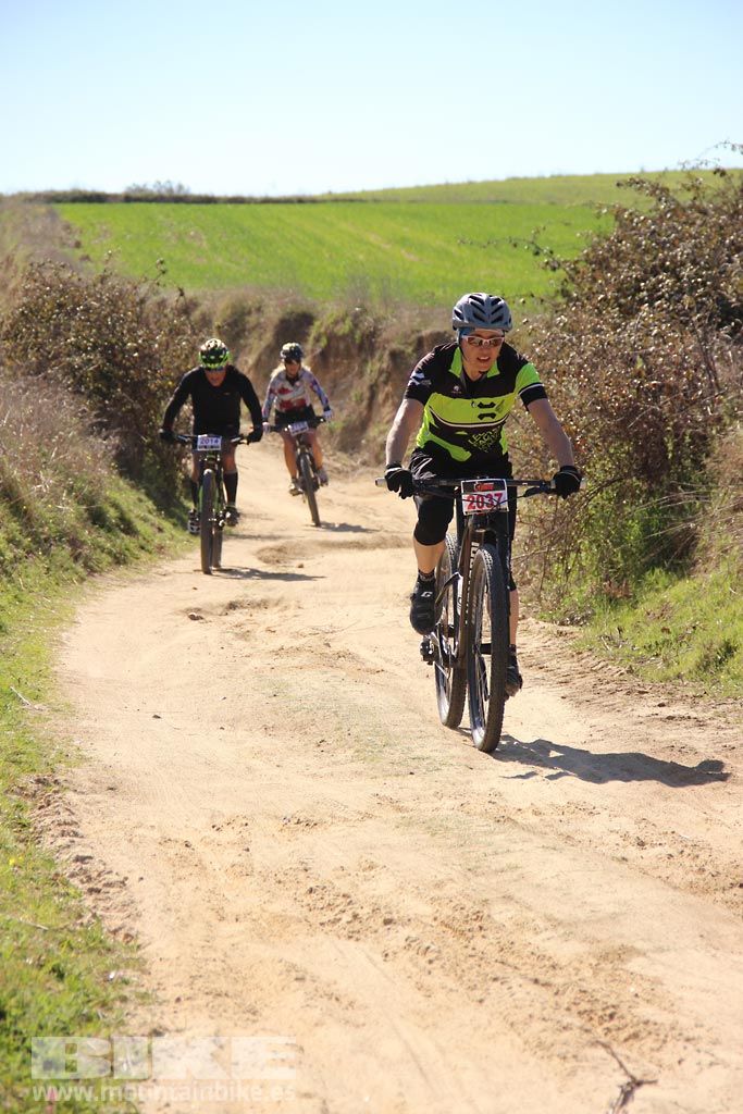 Navalcarnero al Límite 2017 Km 27. Galeria 5