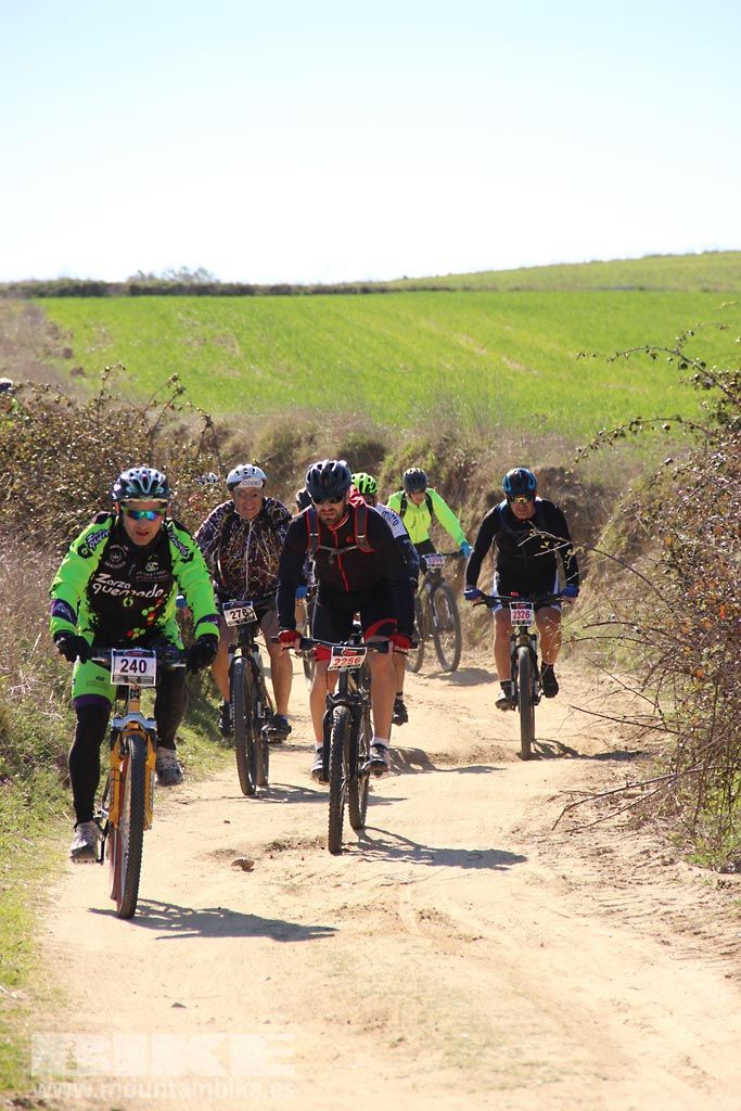Navalcarnero al Límite 2017 Km 27. Galeria 5