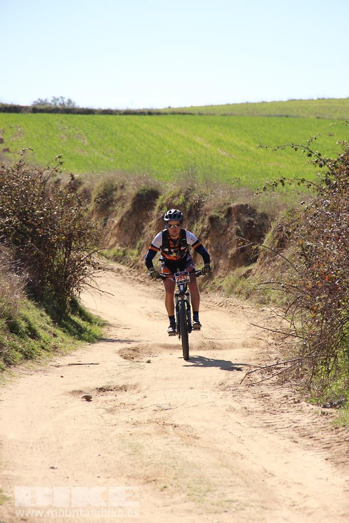 Navalcarnero al Límite 2017 Km 27. Galeria 5
