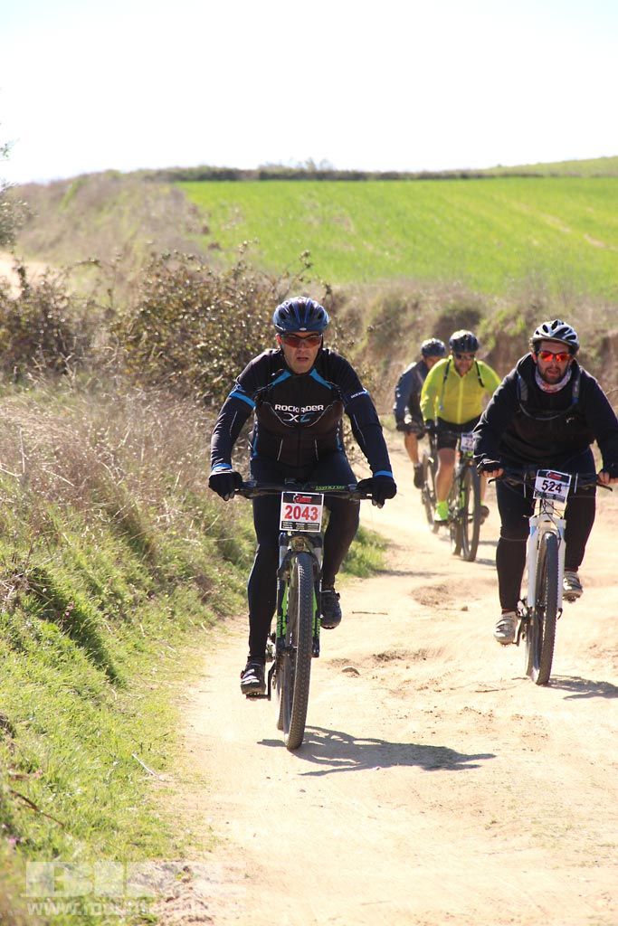 Navalcarnero al Límite 2017 Km 27. Galeria 5