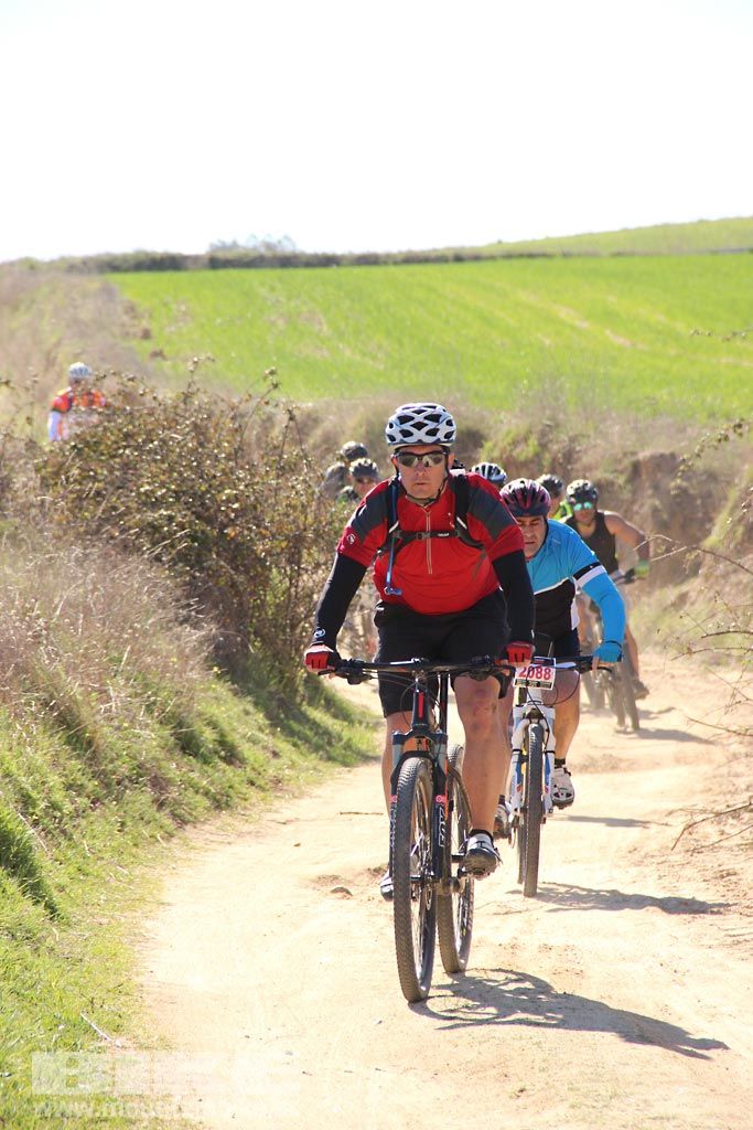 Navalcarnero al Límite 2017 Km 27. Galeria 5