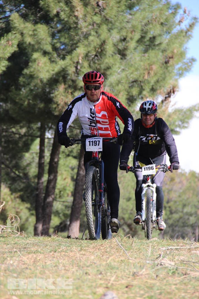 101 Los Miradores. Km 27. Galeria 4