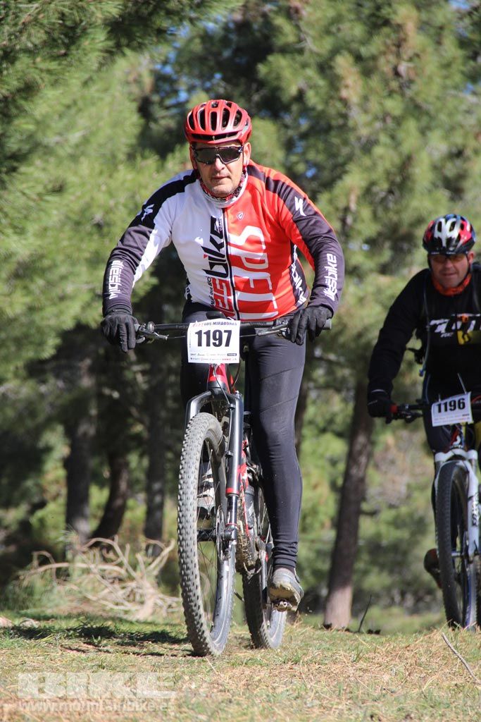 101 Los Miradores. Km 27. Galeria 4