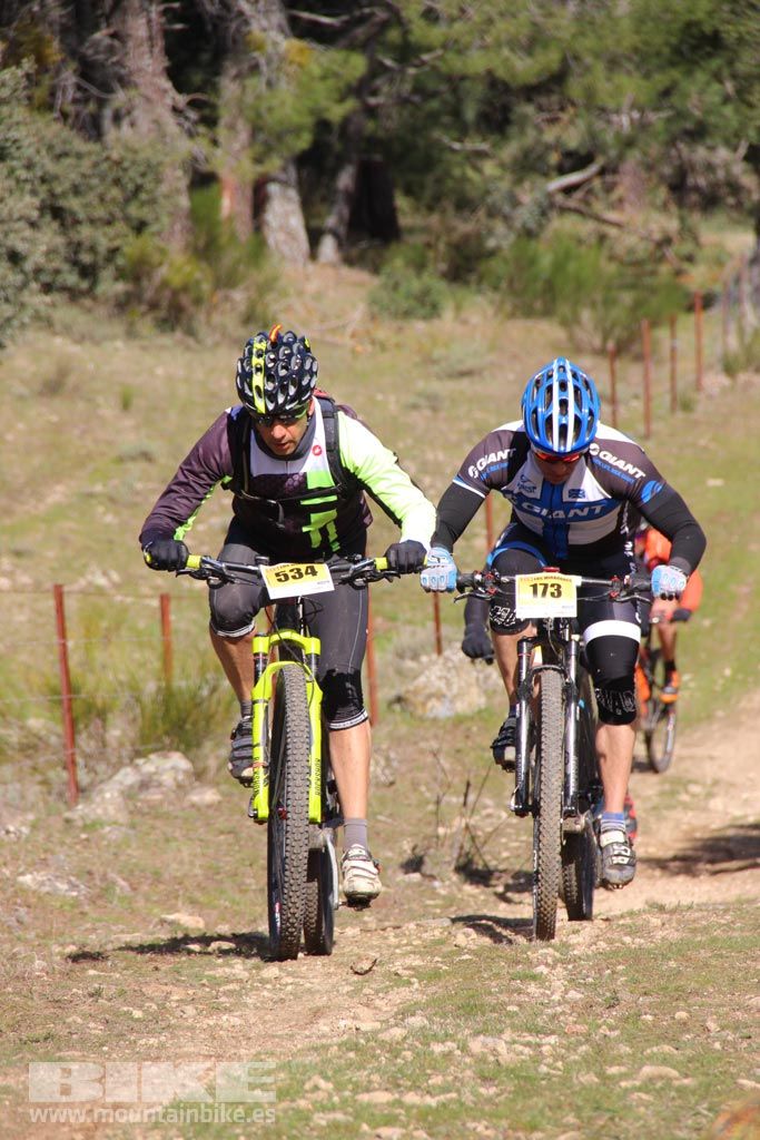 101 Los Miradores. Km 50. Galeria 6