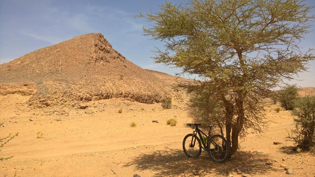 SEAT X-Perience Titan Desert 2017