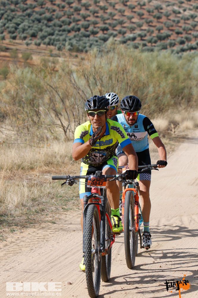 Talajara B-Pro 2017. Galeria 1