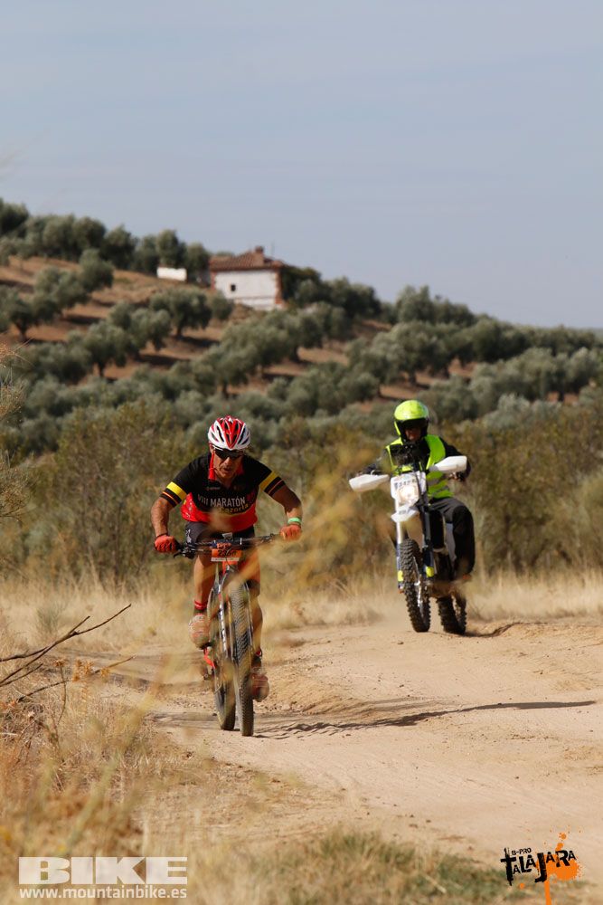 Talajara B-Pro 2017. Galeria 1