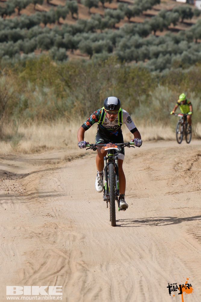 Talajara B-Pro 2017. Galeria 1