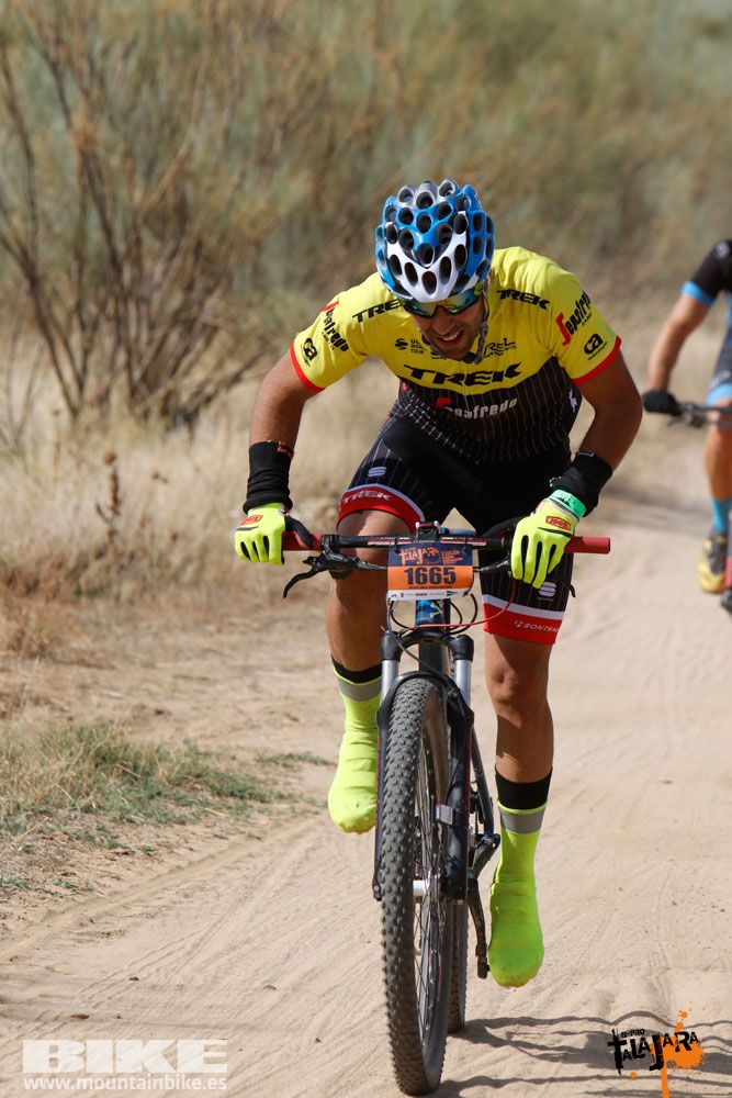 Talajara B-Pro 2017. Galeria 1