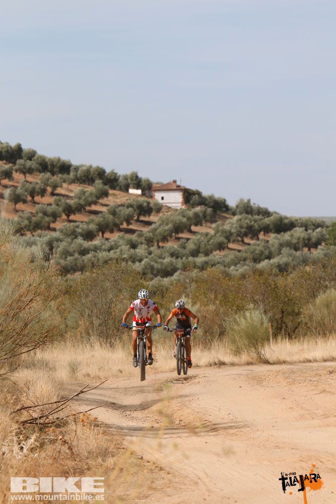 Talajara B-Pro 2017. Galeria 2