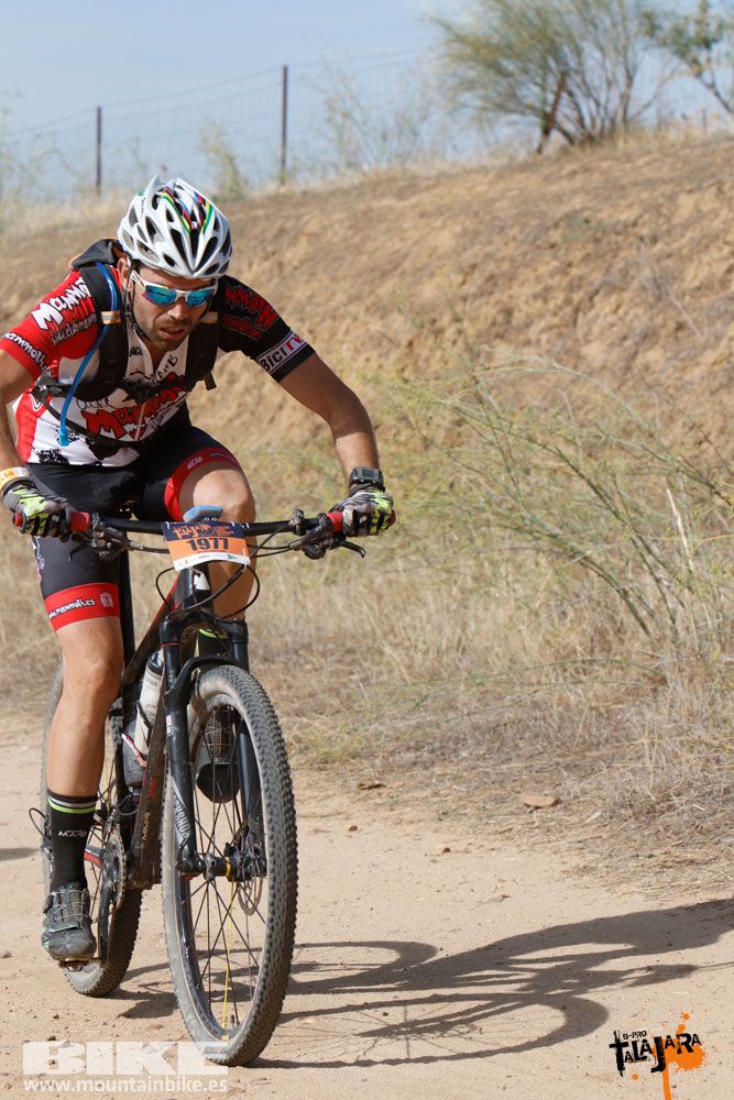 Talajara B-Pro 2017. Galeria 2