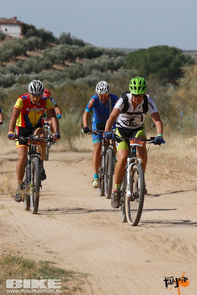 Talajara B-Pro 2017. Galeria 3