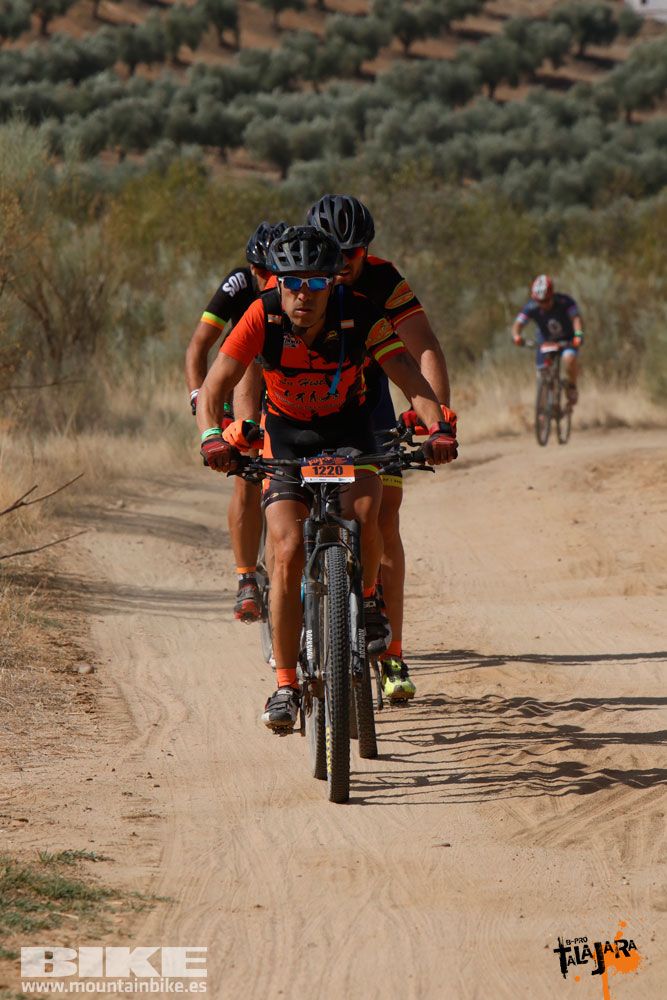 Talajara B-Pro 2017. Galeria 3